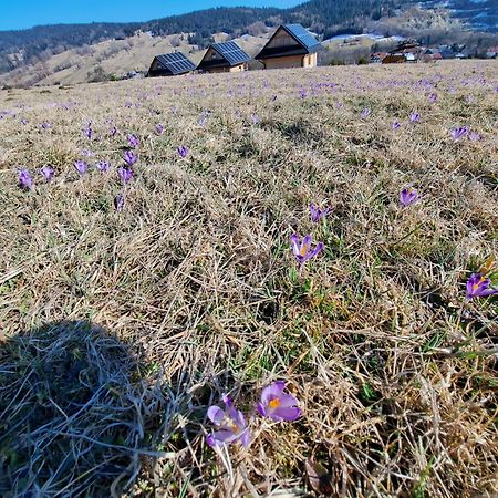 Domki Gorce Klikuszowa Sauna Jacuzzi Dış mekan fotoğraf